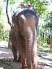 Thailand_HK_2010_151.jpg