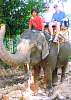 Thailand_HK_2010_153.jpg