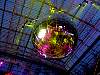 glowb0726.JPG