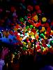 glowb0760.JPG