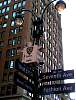 ny08048.JPG