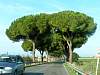 PICT3919.JPG