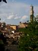 toscane2010468.jpg