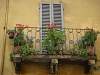 toscane2010620.jpg