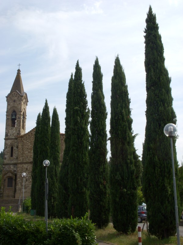 toscane2010389.jpg