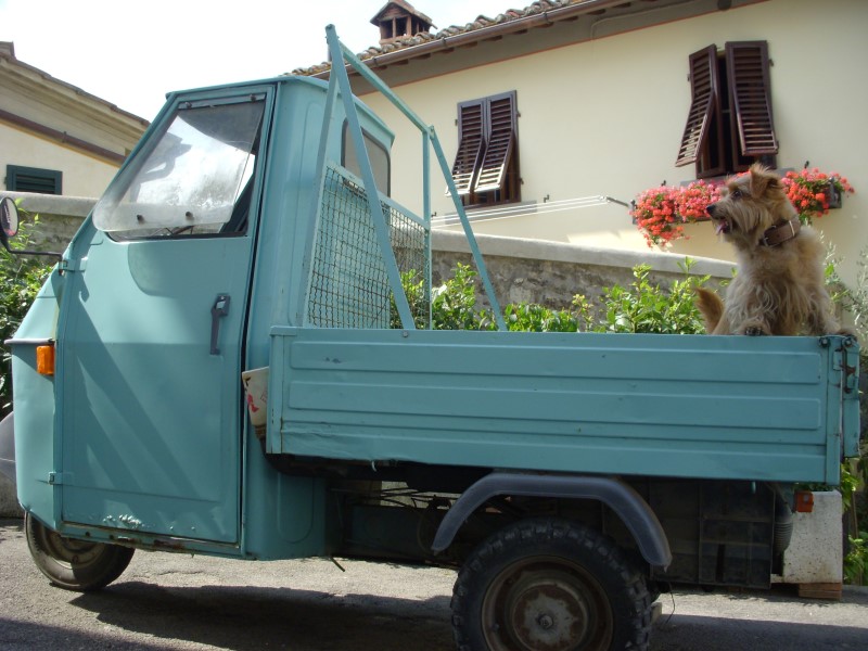 toscane2010432.jpg