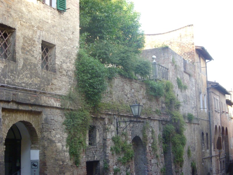 toscane2010536.jpg