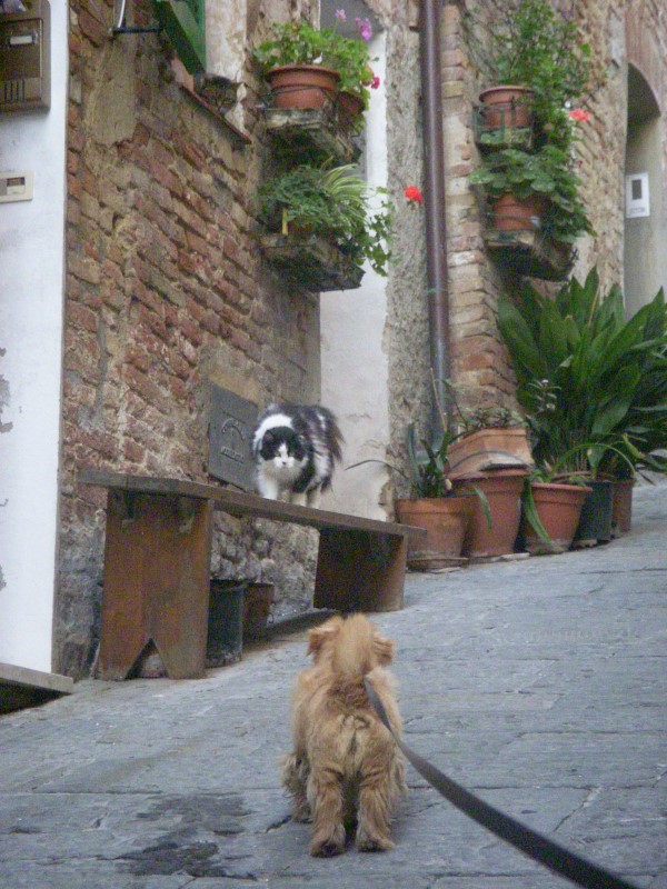 toscane2010542.jpg