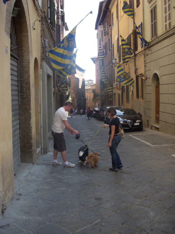 toscane2010558.jpg